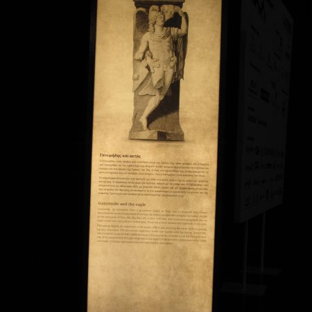 Εικ. 3. Μαγεμένες