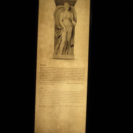 Εικ. 4. Μαγεμένες